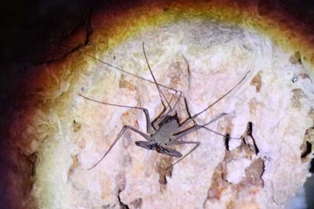 648738056_1465064025412957_5209914778746861986_n