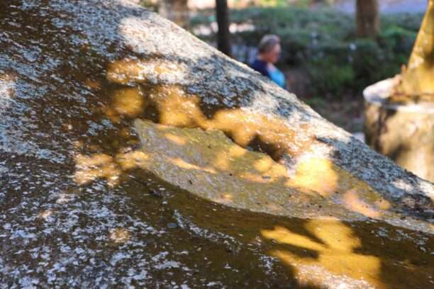 648770593_1462822325637127_4876241071678413938_n