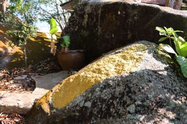 649114279_1462822215637138_1981906665817650925_n