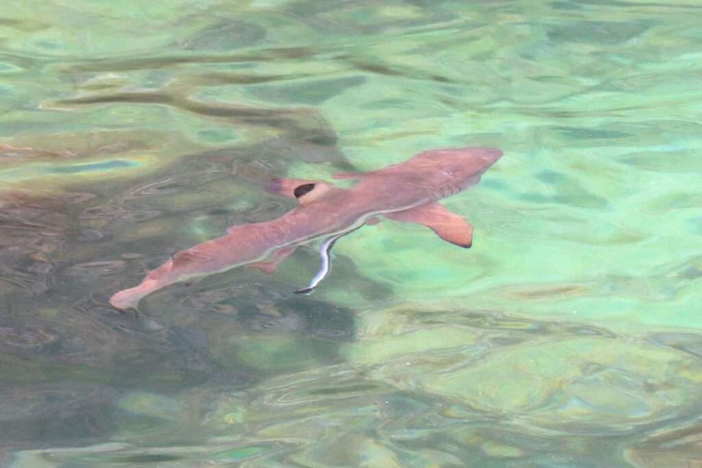 649177098_1461786865740673_8623824572376933098_n