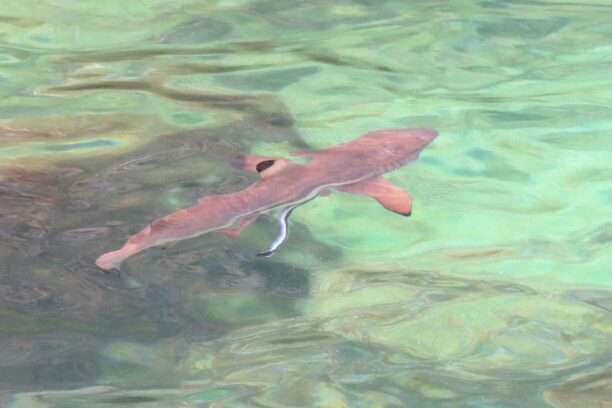 649177098_1461786865740673_8623824572376933098_n