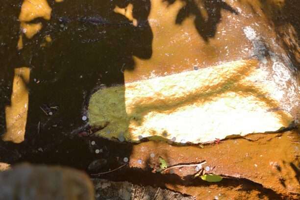 649334639_1462822035637156_5574359849196965998_n