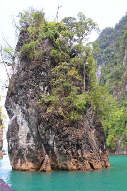 649840545_1465067325412627_1292432266502342330_n