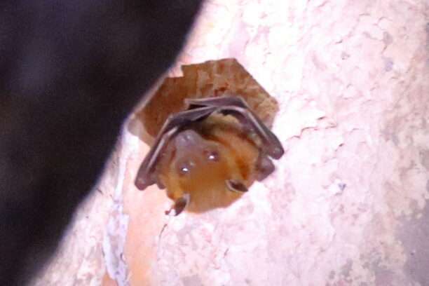 650110117_1465062978746395_8234048831985463422_n