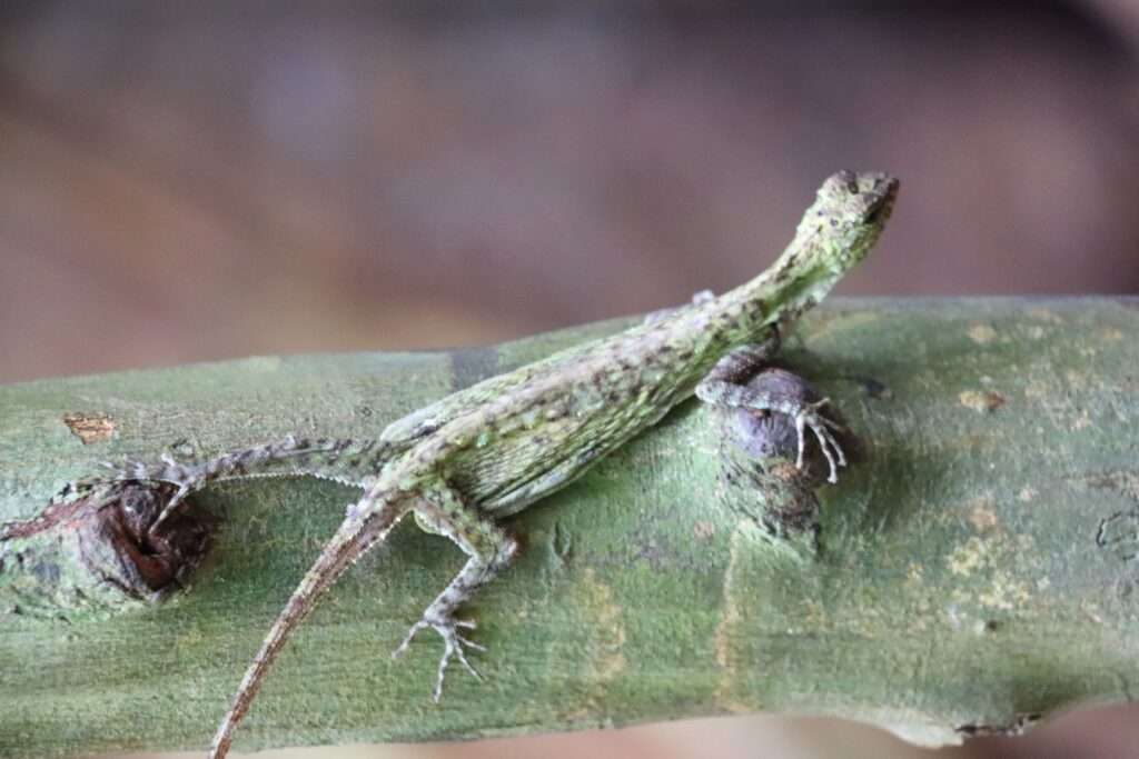 650145113_1465947715236216_4058261241742038858_n