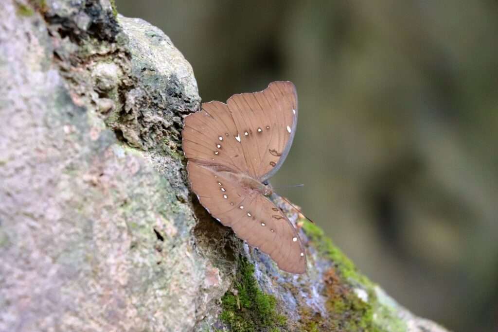 650390266_1466677168496604_7749298821272905717_n