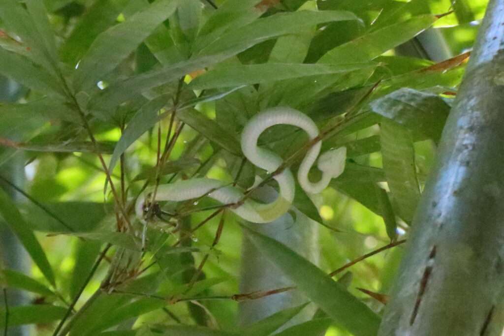 650607160_1467143925116595_8953407507217934514_n