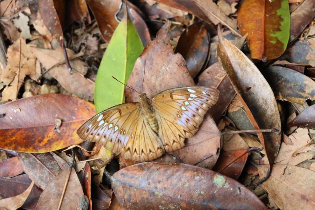 651011805_1466691298495191_2350195054879186854_n