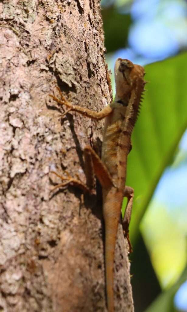 651223878_1467617235069264_7143036350379073154_n