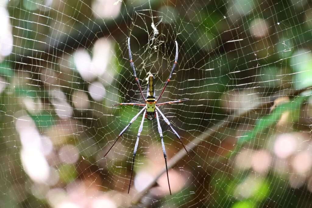 651225947_1467943955036592_7216436597635940569_n