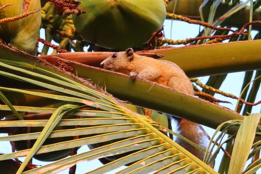 651281500_1469775388186782_5404915252371023568_n