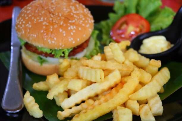hamburger chicken Tree Tops River Khao sok