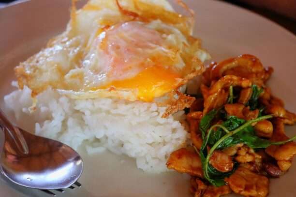 rice topped with chicken and basil