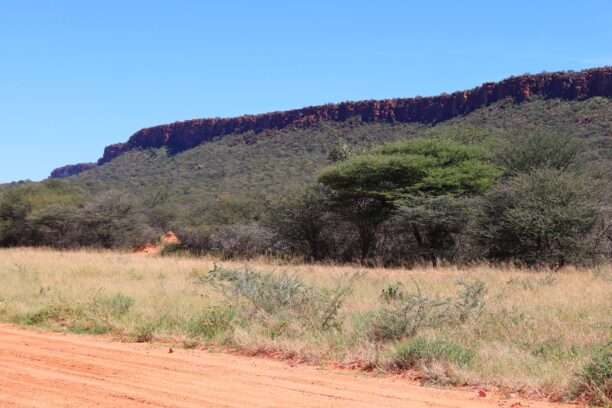 679416053_1501586591760700_8790760071639151958_n