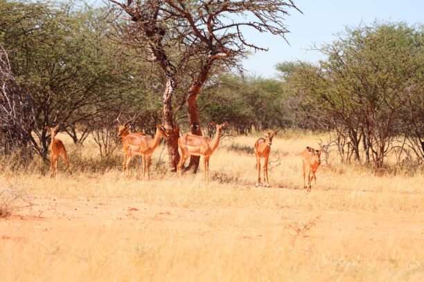 679528806_1501587565093936_1544918386392698038_n