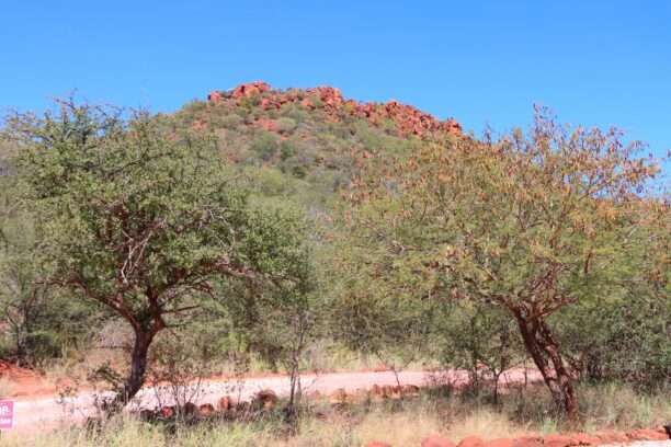 680800496_1501587261760633_1351908797848117933_n