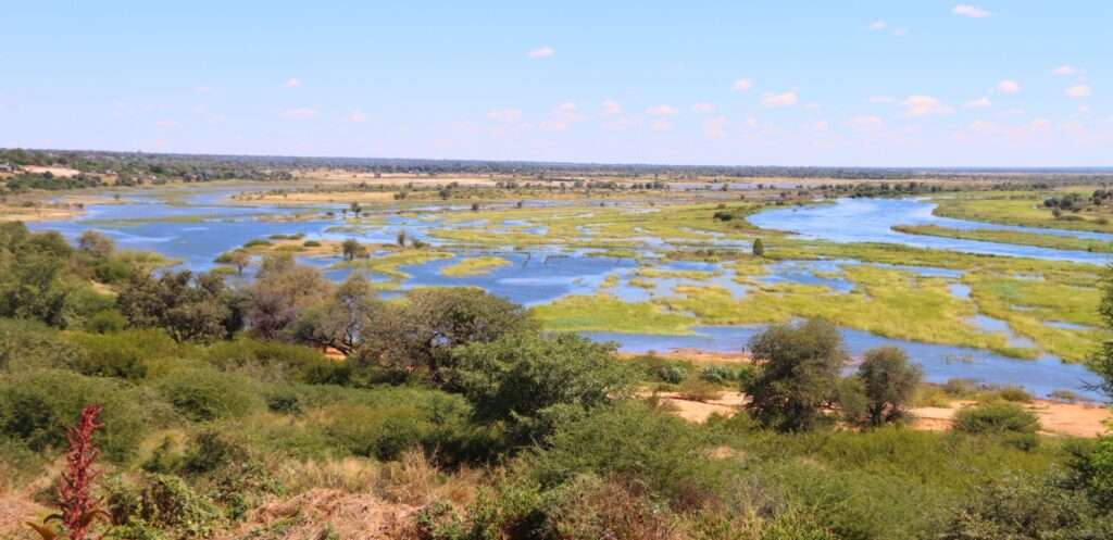 WhatsApp Image 2026-04-29 at 16.16.18