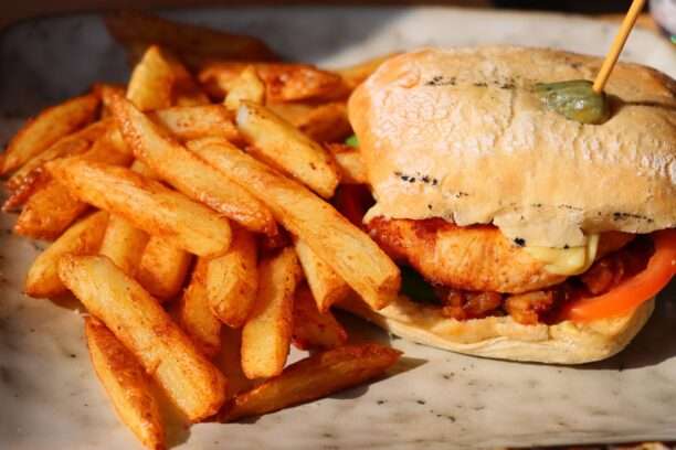 Chicken Burger - The Earth - Struisbaai