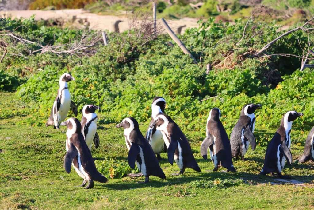 745487833_1569355938317098_109748512563933487_n