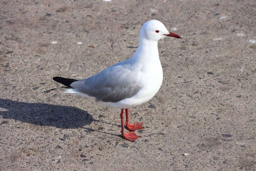 747369856_1572533137999378_7806948771278155998_n