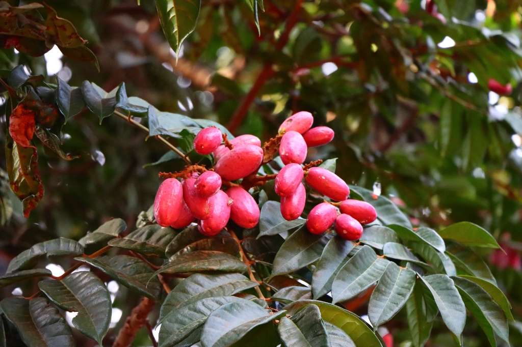 f5c1c09f-db75-4439-a740-c7dec2ab4233